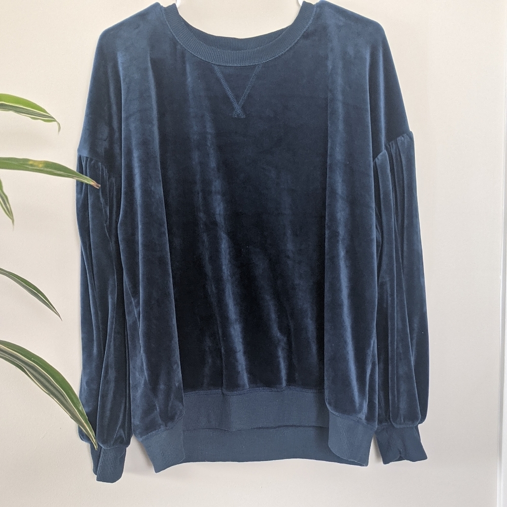 Velvet crew neck puff sleeve sweatshirt